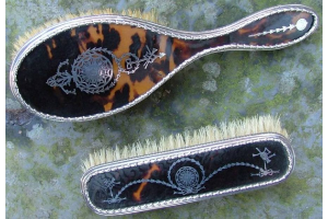 Borstels Schildpad met massief zilver